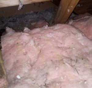 insulation damage