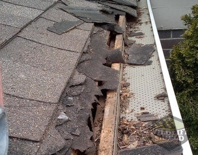 roof damaged in oakville area by raccoons