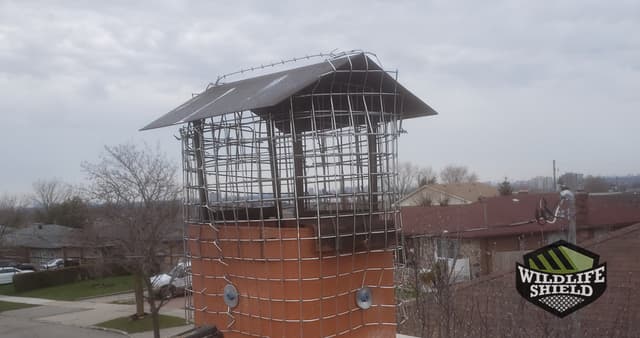 North York Chimney Exclusion