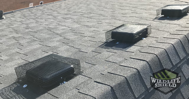 Case Study Roof Vent Covers Richmond Hill
