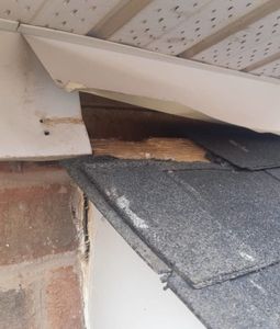 raccoon removal toronto cost - soffit damage