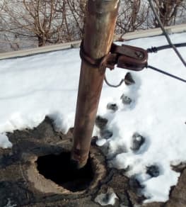 raccoon roof damage Vaughan