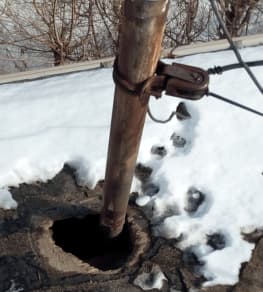 raccoon damage brampton