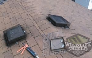 roof vent protection using galvanized steel mesh brampton