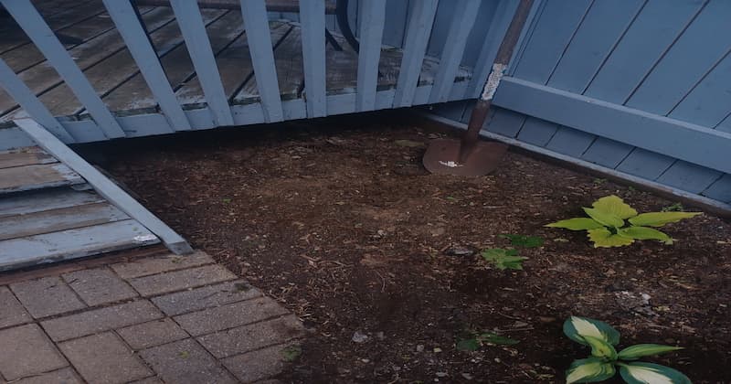 back-deck-exclusion-raccoon-before