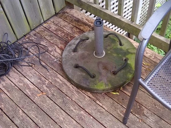 raccoon feces removal yard